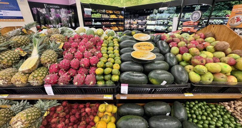 Monthly Highlights & Spotlights of August