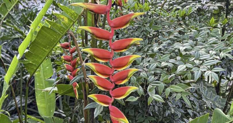 San Jose’s 2026 First Quarter Highlights